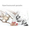 Большой комплект одежды для новорожденного Moon and Cotton